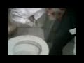 rata en el banio del seiya rata en el banio del seiya