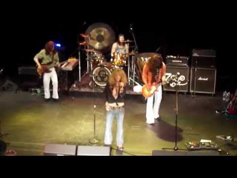 how to quarter a lemon