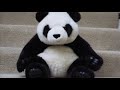 Panda - Carry On Music Video Panda - Carry On Music Video