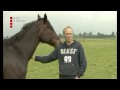 videos de Strijd rond Groot-Mijdrecht verhardt