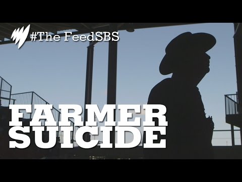 how to help qld farmers