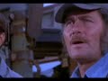 Great White Shark Movie