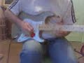 fender stratocaster classic player 50\ fender stratocaster classic player 50\