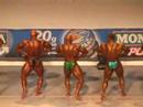 do 95 kg primerjave