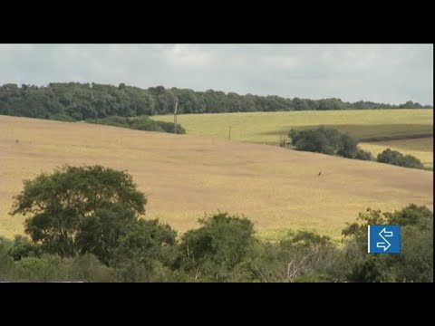 Comissão sobre Mudanças Climáticas debate regularização fundiária