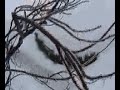 Ambient Music - Ice Storm