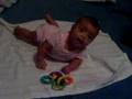 Maya Roll