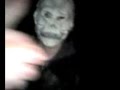 DE KARETON DIZE : Investigación de la muerte de Calabaza