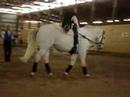 Horse Freestyle