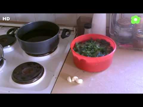 how to harvest stinging nettle