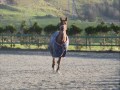 Levander l�s p� banen :)