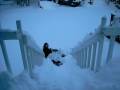 videos de Fun in the Snow