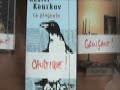 Allestire una vetrina di libri