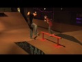 new park in town, the disco skatepark