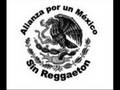 videos de Stevan