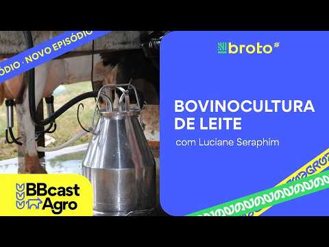 Leite: preços recuam, custos desafiam e gestão ganha importância | BBCast Agro - 18/06/2026