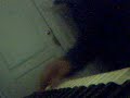 panda-piano-cover-disculpa-los-malos-pensamientos.html