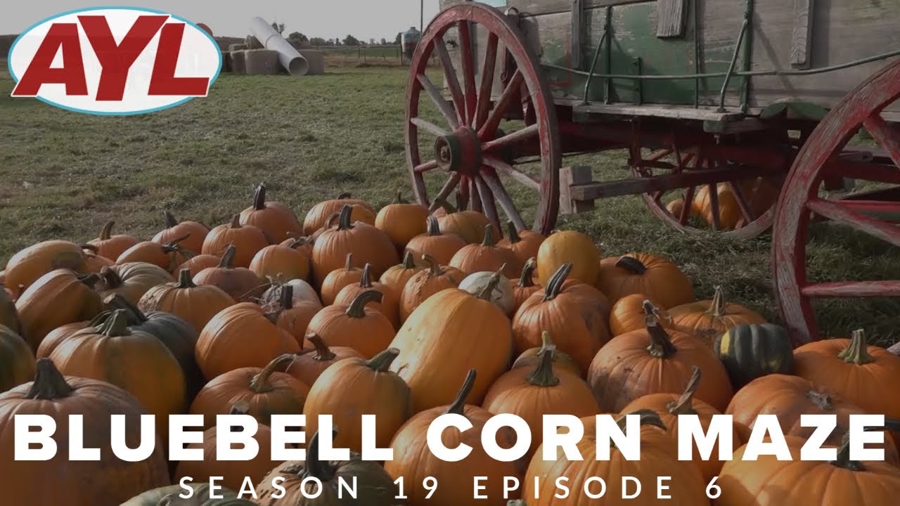 S19 | E06: BlueBell Corn Maze Full Episode