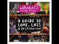 Little Miss Pipedream - The Wombats (Album Version)