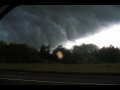2029 Global Domination Genocide and War