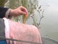 Fishing Fishing