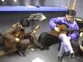 Romance de Amor Duet