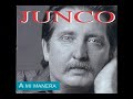 junco venganza gitana