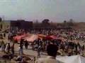 DARGAI MILA