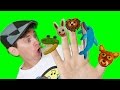 Finger Family Song - Wild Animals with Matt | Action Song, Nursery
Rhyme | Learn English Kids