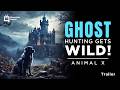 Promo - Ghostly Creatures Animal X Natural Mystery Unit