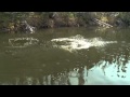 X-Rap Pike Explosion