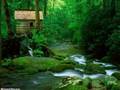 Avril Lavigne-Innocence(with beautiful nature pics&lyrics)