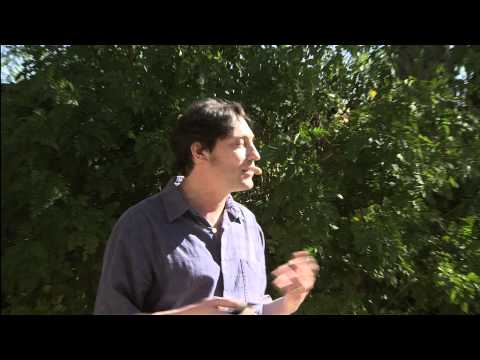 tedactive - Assembling your TEDx team is just the beginning, you also need to manage it. TEDxRainier organizer Phil Klein explains how he turned a group of volunteers in...
