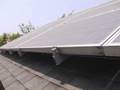 Urban Homestead - Solar Outdoor Shower