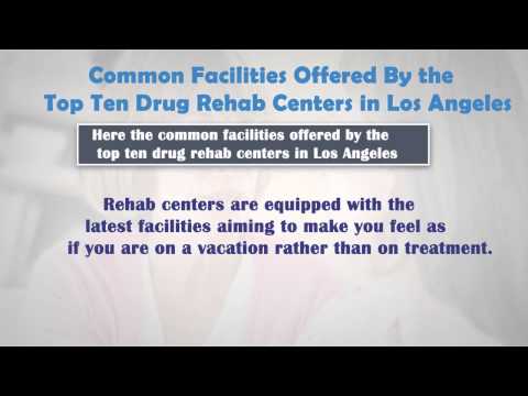 Drug Alcohol Addiction Rehab Treatment and Recovery Services