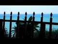 Varkala