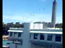 dsgsdg