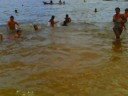 F�RIAS 2008 EM ALTER DO CH�O (SANTAR�M)