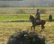 cirit