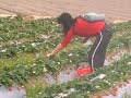???????20080316 ???????20080316
