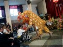 Danza Leon Beneficencia China, Caida Alvaro Andrew xD