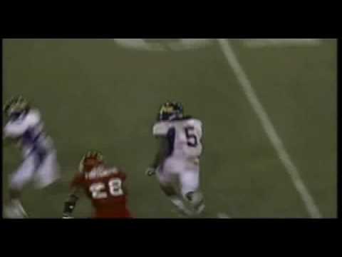 Chris Johnson - on the field NFL Combine Stats 5-11 / 197.. Offical 4.24 2007 Stats Rushing: 1423 yards, 6 yards per carry, 17 TD's Recieving: 37 catches, 528 yards, 14.3...