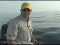 Chew On This!  Saltwater Fishing Shows !Drummin!