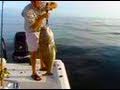 Chew On This! Saltwater Fishing Shows !Drummin!