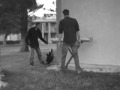 Iago (original song and video)