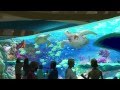 SeaWorld Orlando - Turtle Trek Part 1