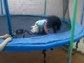 البنت المصرقعة المجرمة
