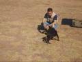 Dobermann ANUK (Durón)