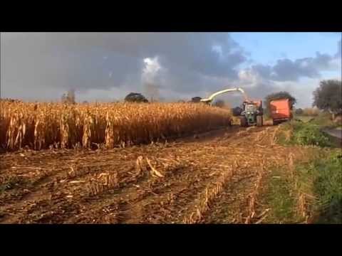 ensilage - Ensilage 2013 a Langoat avec l'eta briand fendt 820 et 720 au tas PS: desoler pour la qualiter mais c'est youtube!