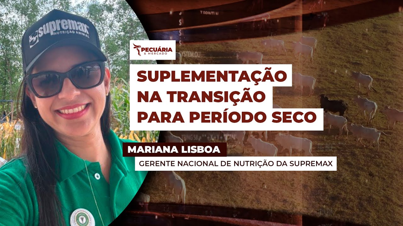 Suplementação estratégica ajuda a manter o desempenho dos animais com perda da qualidade das...